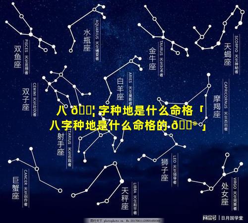 八 🐦 字种地是什么命格「八字种地是什么命格的 💮 」